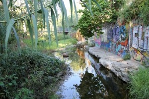 Pikrodafni Stream, Credit: Elias Dimitriou
