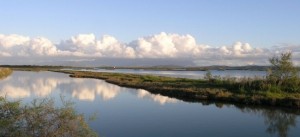 Evros River Estuary, Credit: Stamatis Zogaris