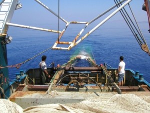 mar88-TRAWPLAN-trawl, aegean, ionian sea