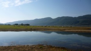 Amvrakia Lake, Credit: Eva Colombari