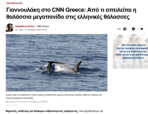 Threats for marine megafauna in the Greek Seas (CNN Greece, 11.10.2022)
