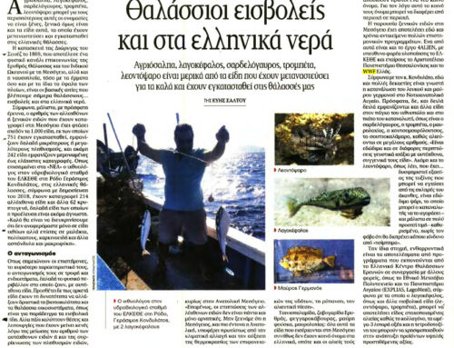 MARINE INVADERS in GREEK WATERS as well