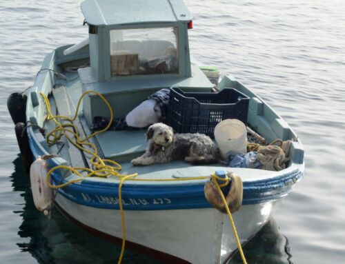 EM4SSF – Enhancing Monitoring for Sustainable Small-scale Fisheries