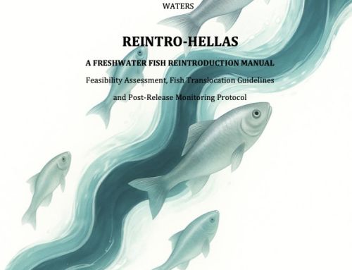 Book: REINTRO-HELLAS A Freshwater Fish Reintroduction Manual